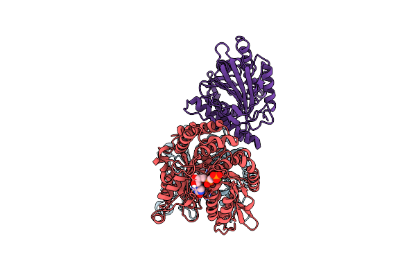 6OJQ image