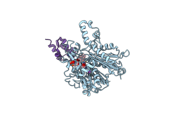6OKG image