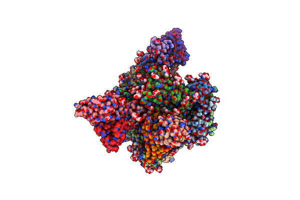 6OKP image