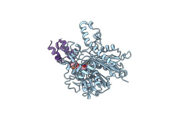 6OLT image
