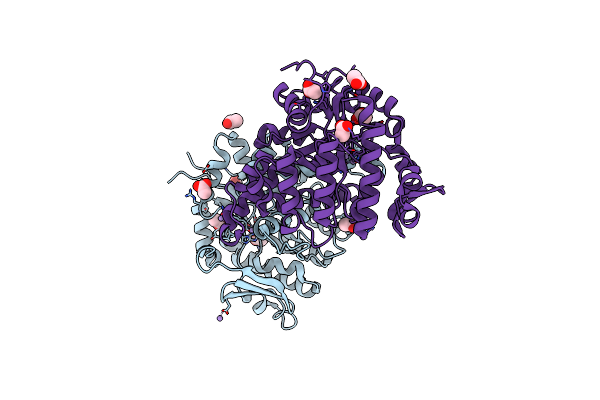 6OMP image
