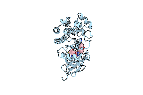 6OMU image