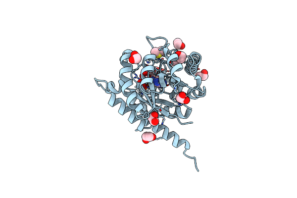 6OMZ image