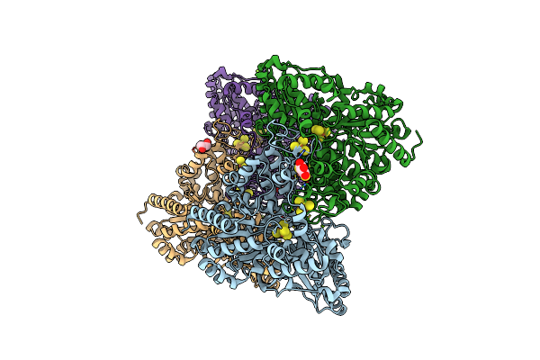 6ONC image