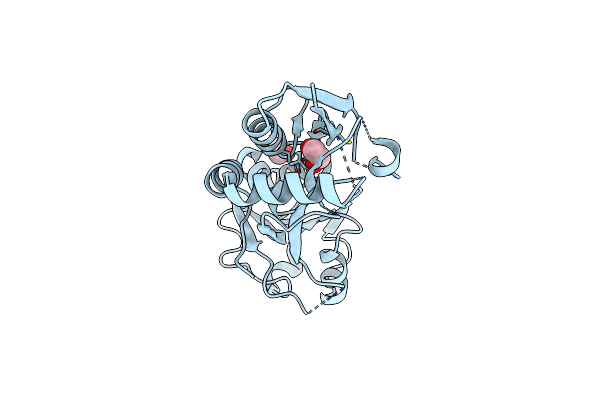 6ONP image