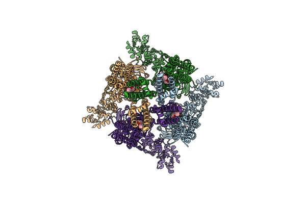 6OO4 image