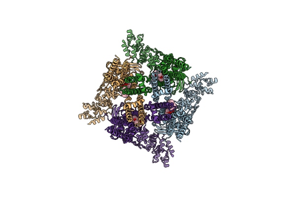 6OO5 image