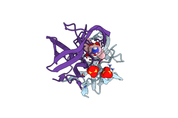 6OOT image