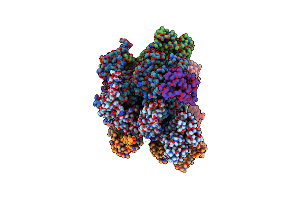 6OPC image