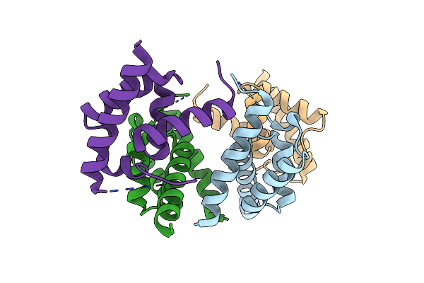 6OPF image