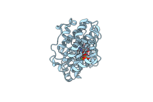 6OPG image