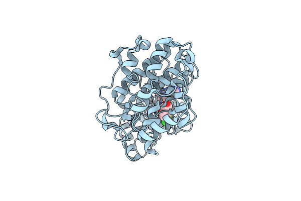 6OPH image