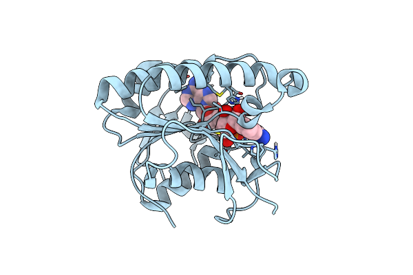 6OPL image