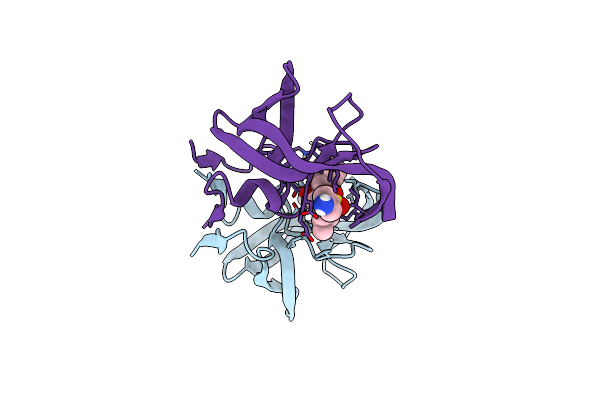 6OPS image