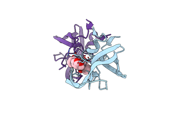 6OPU image