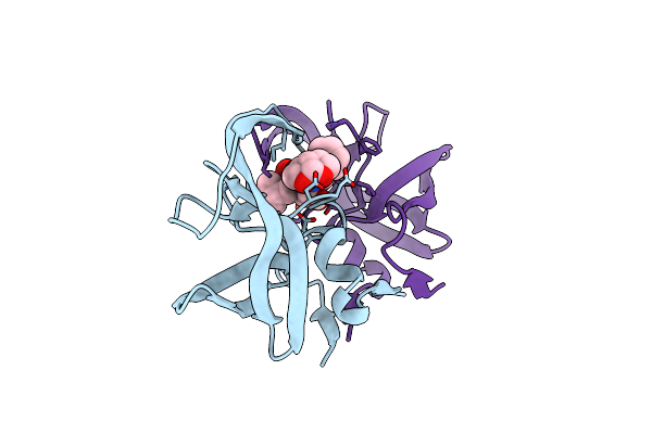6OPV image