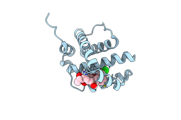 6OQB image