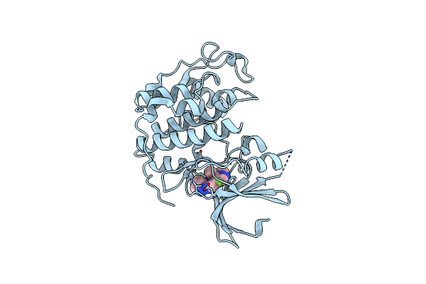 6OQI image