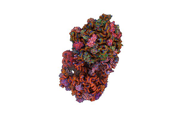 6ORD image