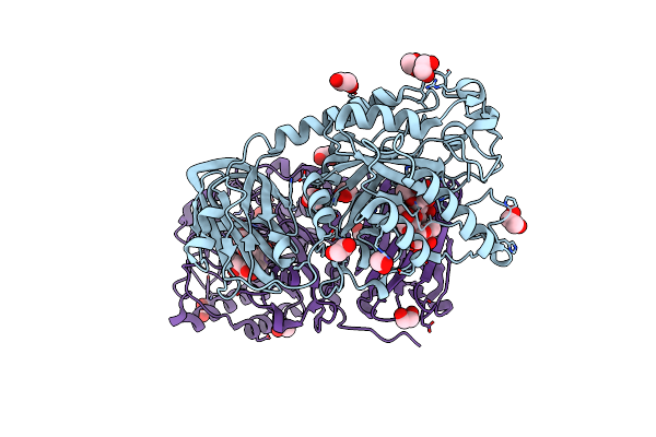 6ORH image