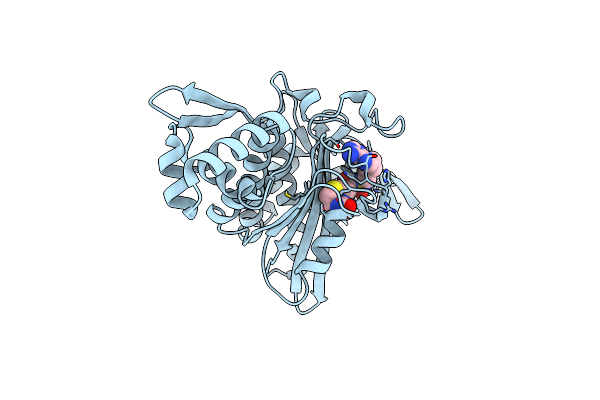 6ORU image