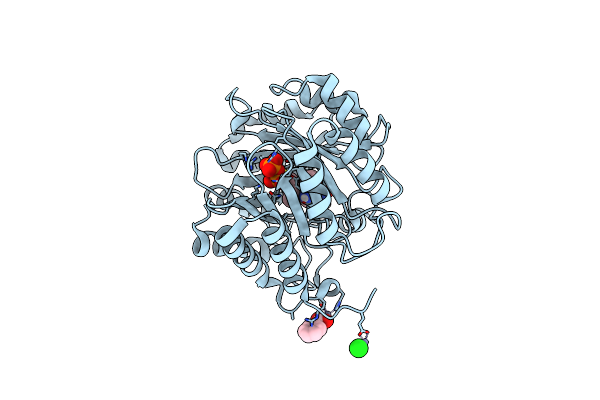 6OS6 image