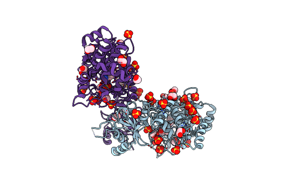 6OTJ image