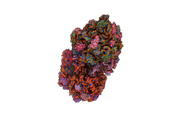 6OTR image