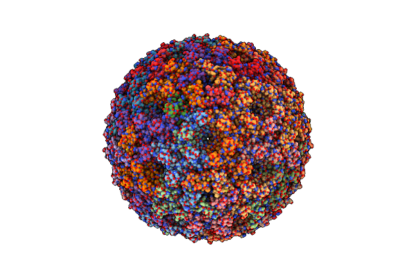 6OWG image
