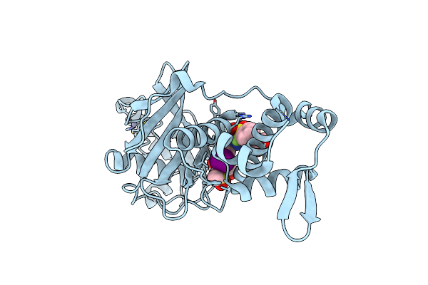 6OWH image