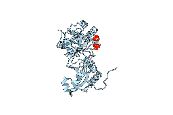 6OWV image