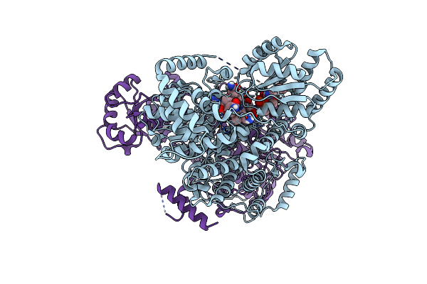 6OXC image