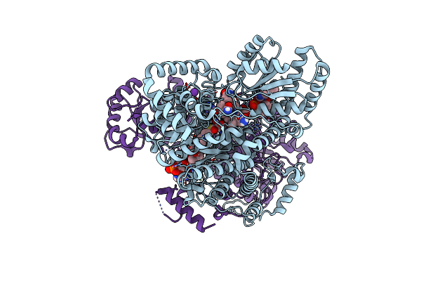 6OXD image