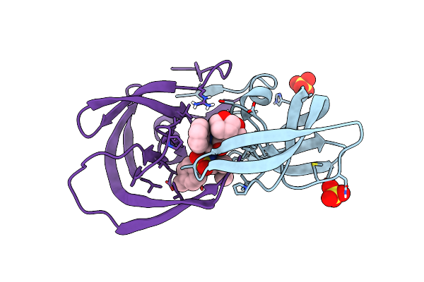 6OXP image