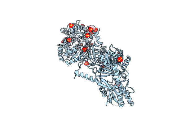 6OYF image