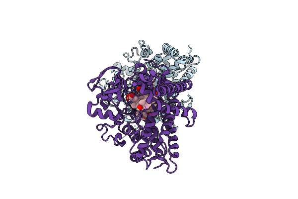 6OYV image