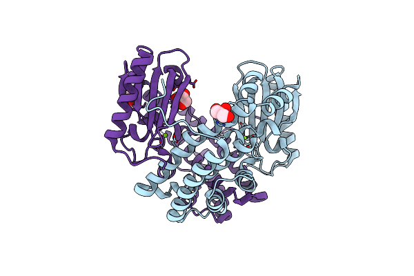 6P01 image