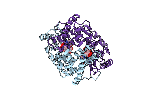 6P04 image