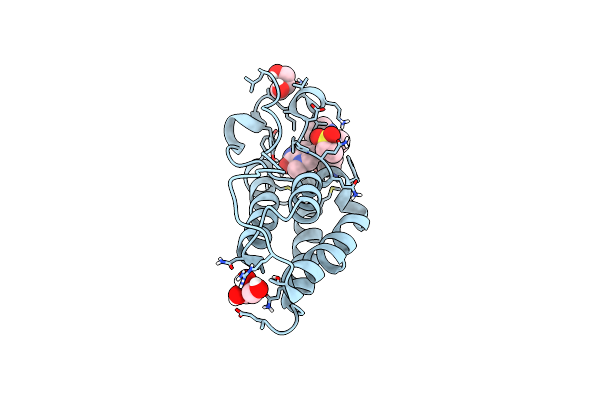 6P05 image