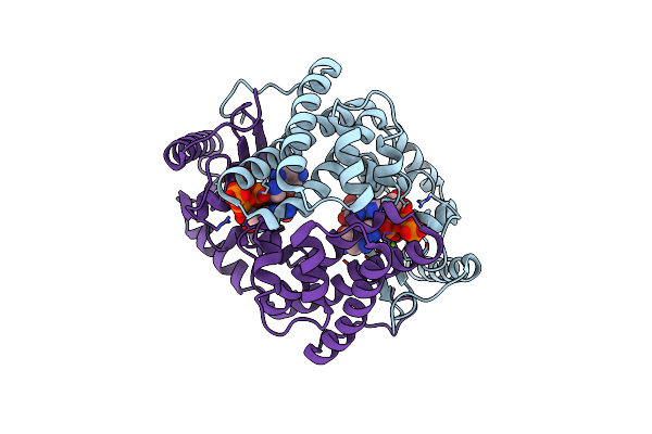 6P08 image