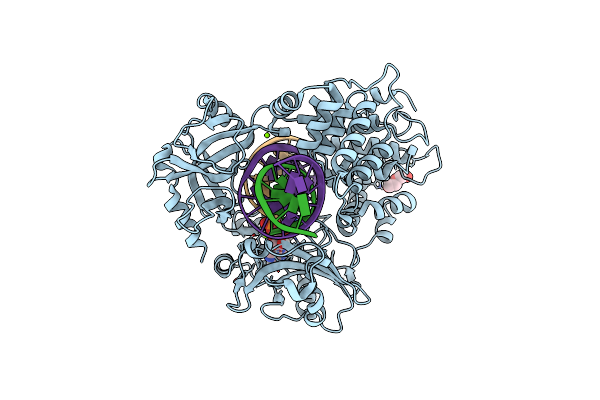 6P0B image