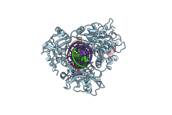 6P0D image