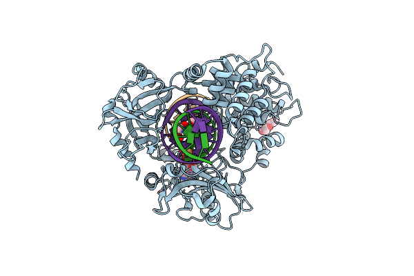 6P0E image