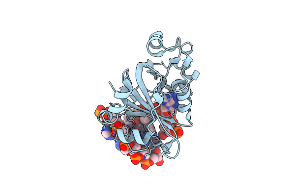 6P0G image
