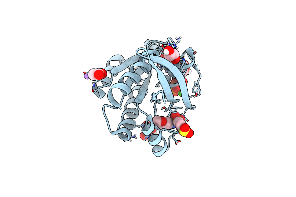 6P0I image