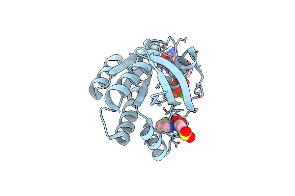 6P0M image