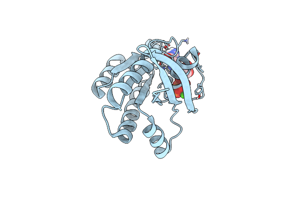 6P0O image