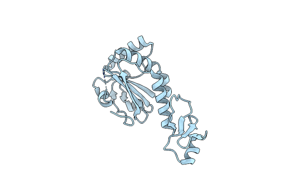 6P0W image