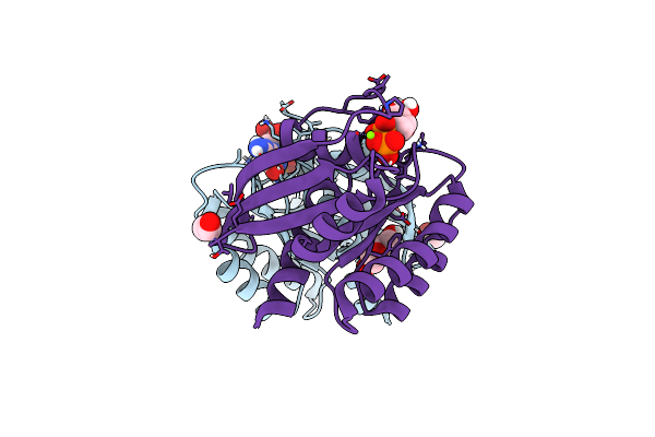 6P0Z image