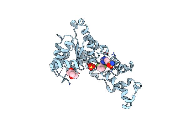 6P11 image